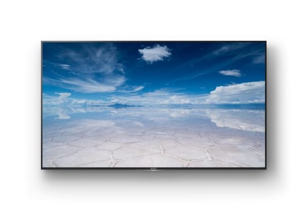 sony 75" 4k Commercial screen