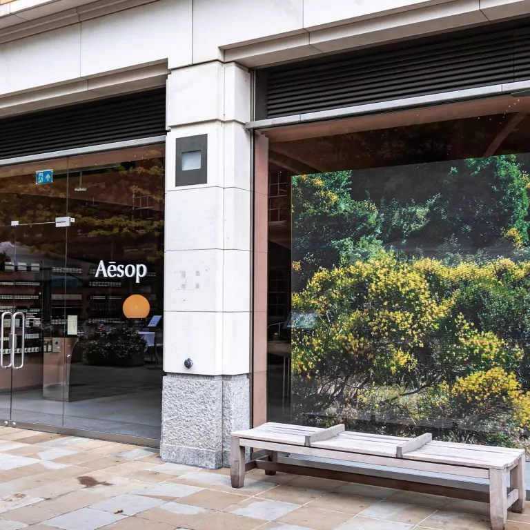 Aesop Double Sided LED Wall