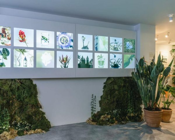 Art Gallery with LED Screens