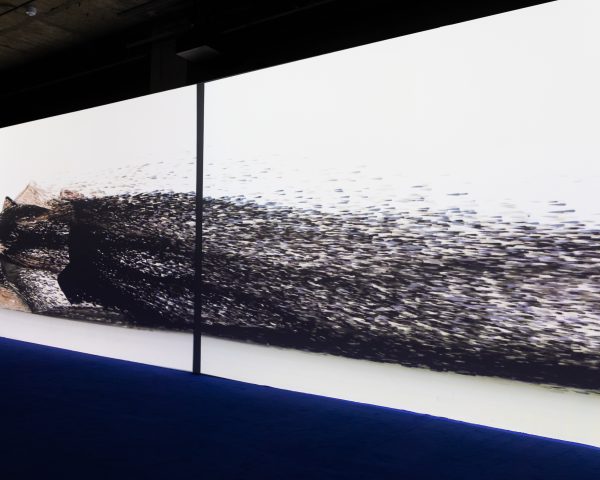 Projection for Art Installations